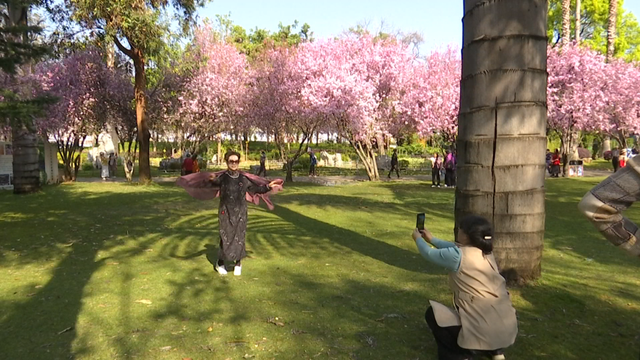 昆明的四季慢生活为何让人上瘾？