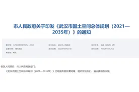 官宣！武汉重磅规划正式批复！图片