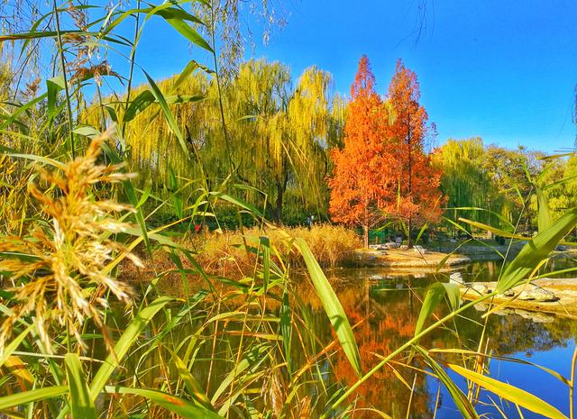 狂风散尽现碧空 北京市民陶然亭公园共赴“大风蓝”之约