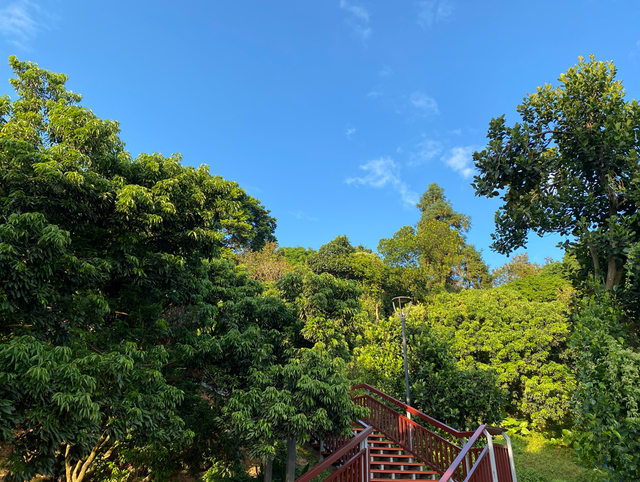 麒麟山真理公园1：这里的美景惊艳整个黄埔，你来过这里吗？