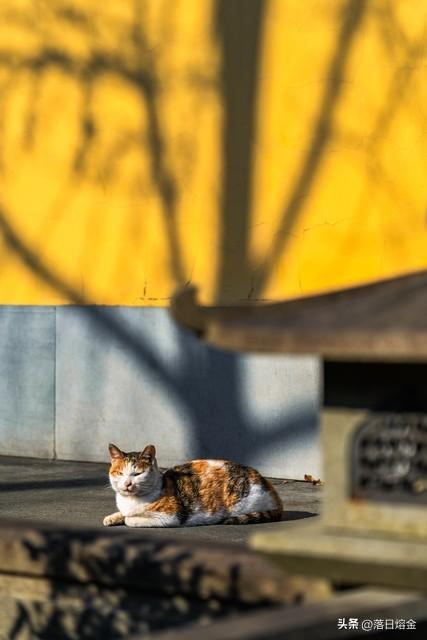 七十岁后，学会“关门”过日子，才是人生的大智慧