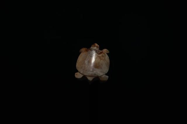 玉架山考古博物馆新展开幕！首次系统展示！