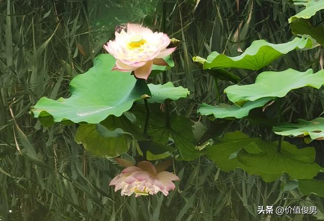 兰州植物园秋日赏景