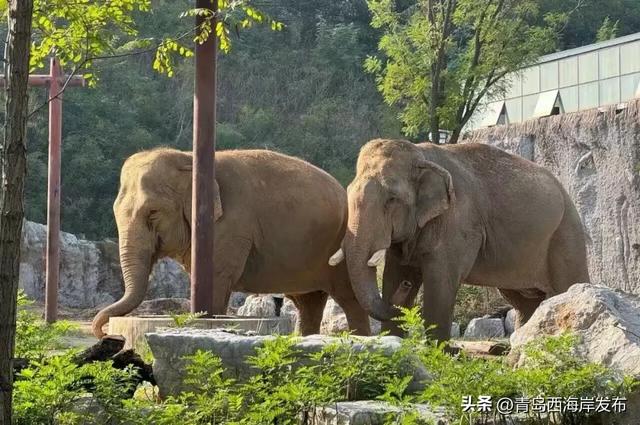 又美又可爱的西海岸！总要来一次！