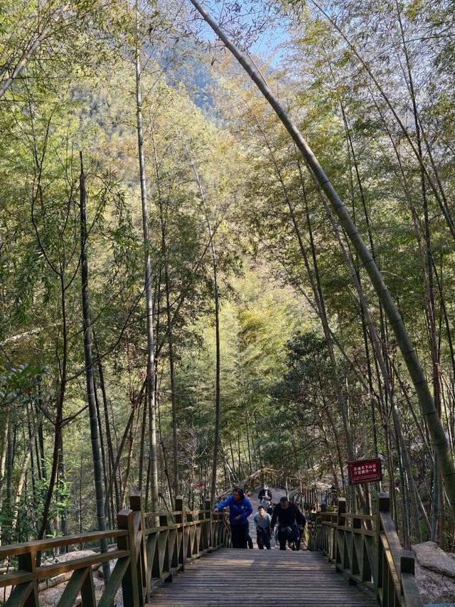 钻进南岭无人区，我找到了湘江的“童年模样”