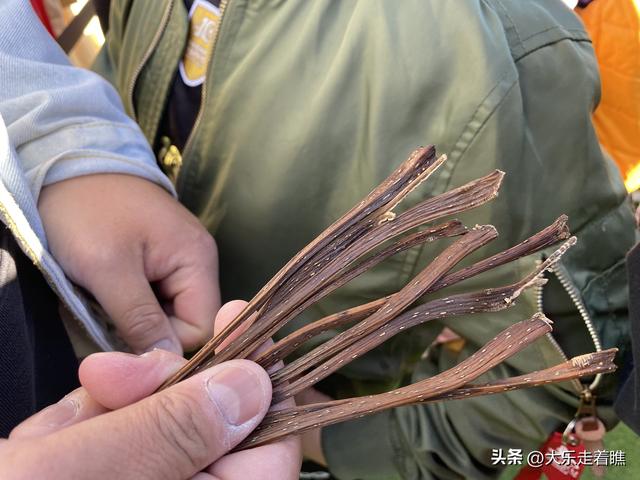 回不去的游乐园，拔不断的童年记忆