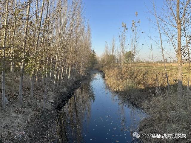 冠县乡韵·贾镇荆楼村