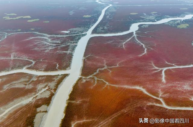 辽宁盘锦：红海滩国家廊道日出美景如画
