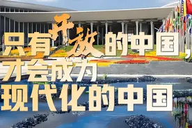 中国以开放姿态为动荡世界注入确定性！坚决反对 "丛林法则" 式竞争图片