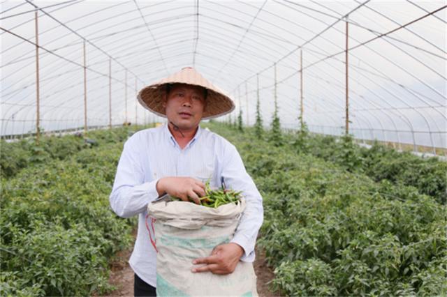 江苏邳州邢楼：一个边界乡镇的产业突围之战