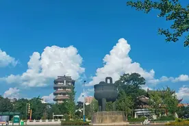 偌大的中国，为啥只有云南和新疆以公斤为计价单位？图片