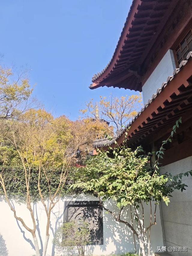 2025 杭州西湖 City Walk 留下足迹