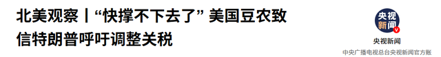 中国不买美国大豆，沉默11天后，特朗普报复来了，对华发起新制裁