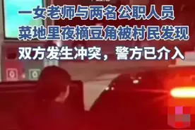 无语！打人把自己打成二级轻伤！湖南公务员偷豆角处理结果来了图片