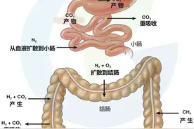 后悔没早点看到，肚子胀气这些方法真有用！图片