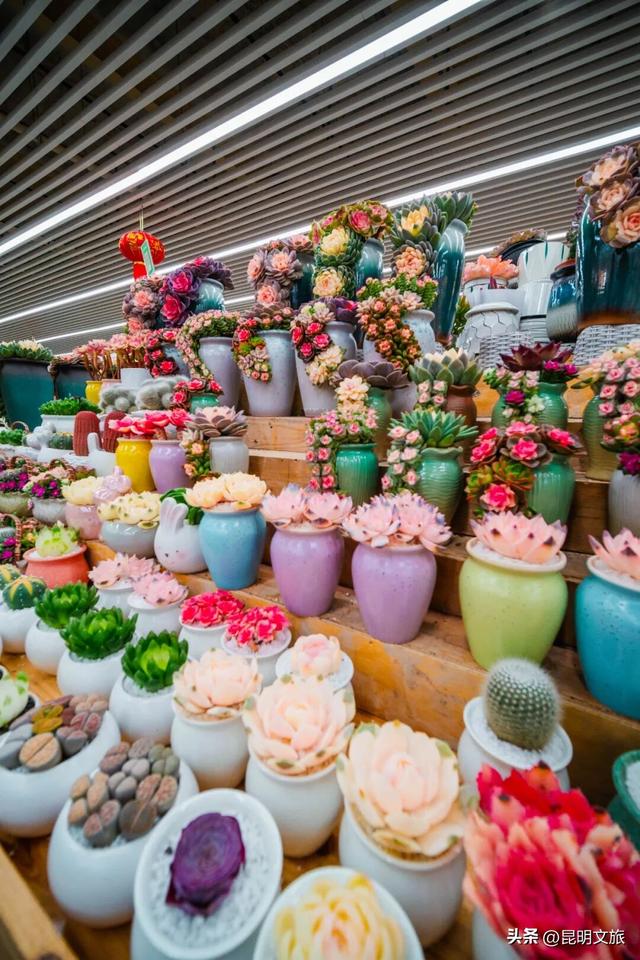 满屏治愈！这个冬日，你一定要去趟斗南花市，邂逅一场流动的彩色盛宴~