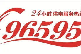 国家电网 95598 能打么？图片