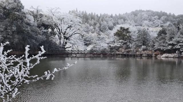 绝美！泰宁峨嵋峰变身冰雪王国，每一帧都是壁纸→
