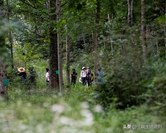 与三联同行，行走黄山不止于“雾凇限定”