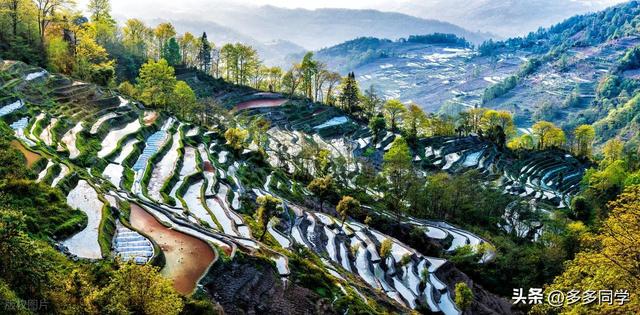 哀牢山的哈尼山寨：立秋了，梯田、歌声、泥巴仗里藏着最野的诗意