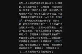 狗是否知道自己是狗？狗狗的世界观崩塌了！图片
