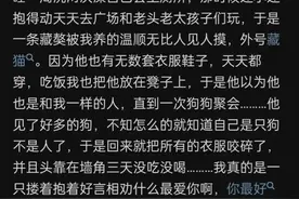 狗是否知道自己是狗？狗狗的世界观崩塌了！图片