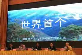 中国发现价值万亿的矿产！日本急了！图片