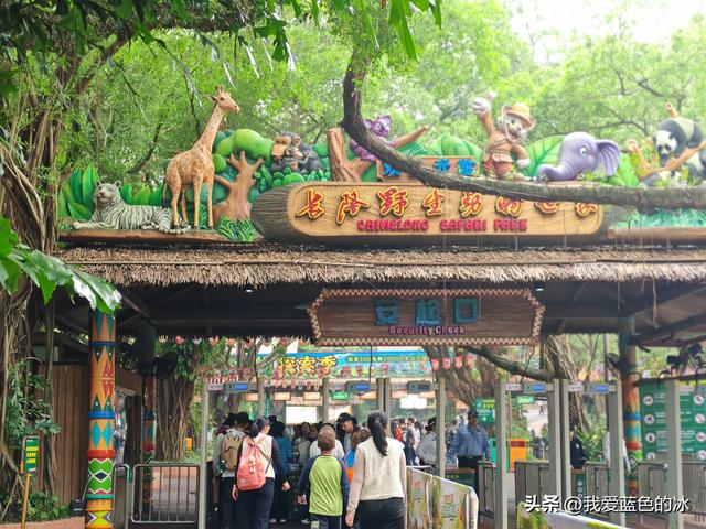 参观广州长隆野生动物园，全程感觉眼累手累腿不累