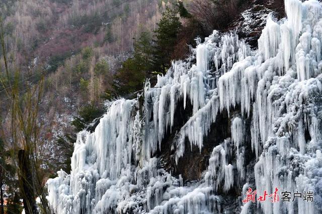 冬日里的甘肃，藏着多少惊喜？