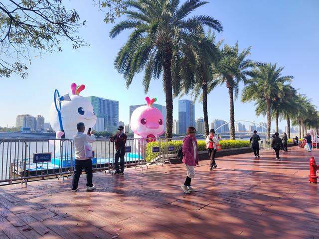 花城看花看灯饰