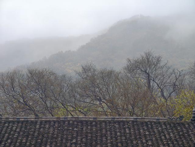秋雨访皇藏峪，瑞云寺前问禅心