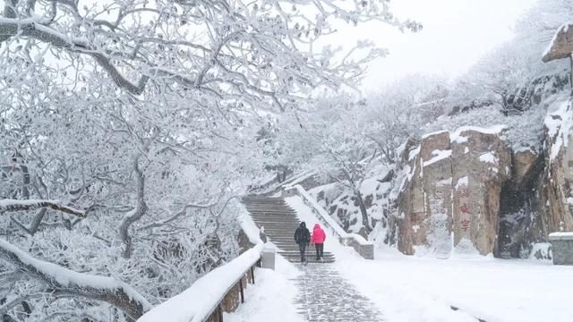 美到失语！雪后泰山限定风景，仿佛天宫坠落人间！