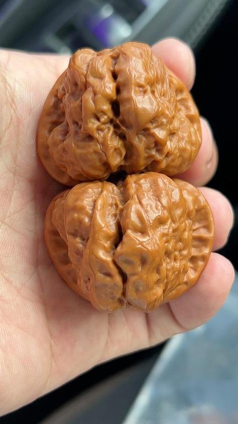 文玩核桃真伪鉴别指南：揭秘市场上十种常见造假手法