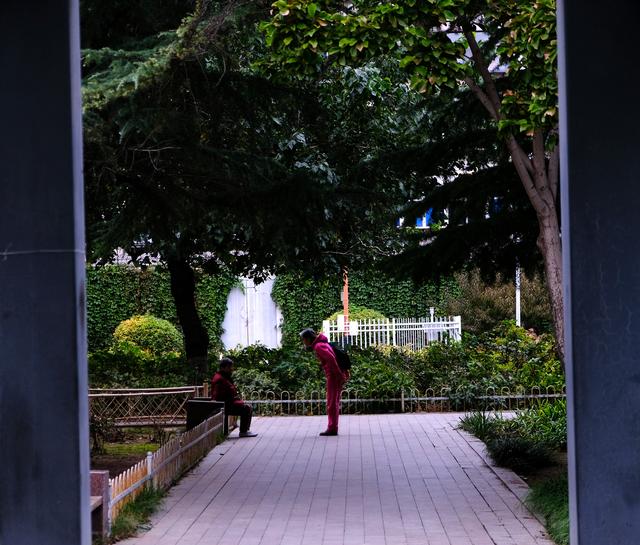 “外包儿女”的生意经：孝顺成为商品，亲情何去何从？