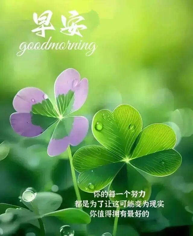 早安正能量励志句子 新的一天 请保持微笑，张开双手迎接美好的一天