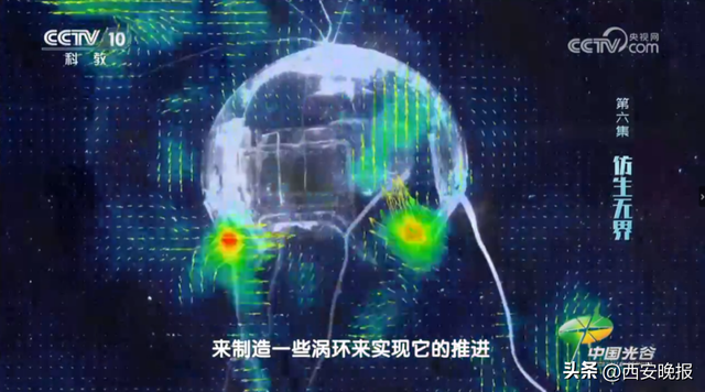 西工大新成果，仅重一两！