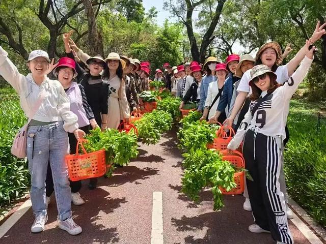 牛耕、捉泥鳅、长桌宴......厦门这片田园,承包你整个夏天的快乐!