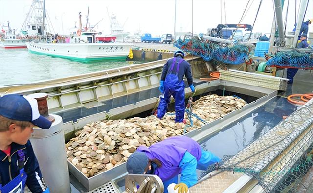 全面停止进口，一票否决！日本彻底傻眼，三十五年布局白费！​