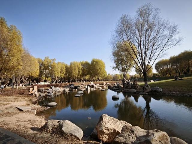 公园秋景：层林尽染 景致似锦如画