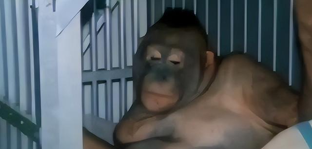 被锁暗室6年：剃毛穿丝袜当玩物，惨状撕开人类伪善面具