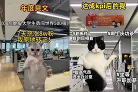 00后接管官方账号后发了它爆火！突然之间，全网都在发小猫的视频？图片