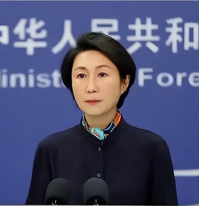 德国外长访问日本前后，连续挑衅我国，不到24小时，中方回击亮了