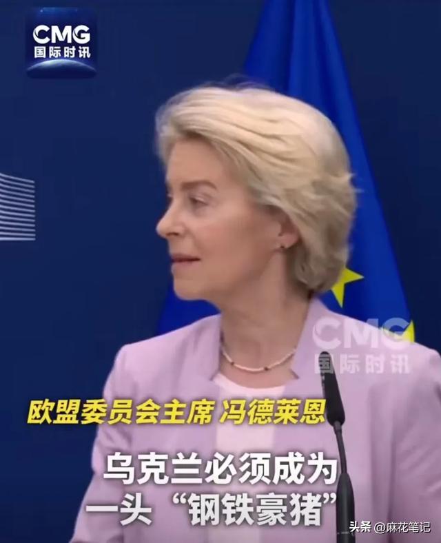 美称俄同意乌获类似北约国家安全保障
