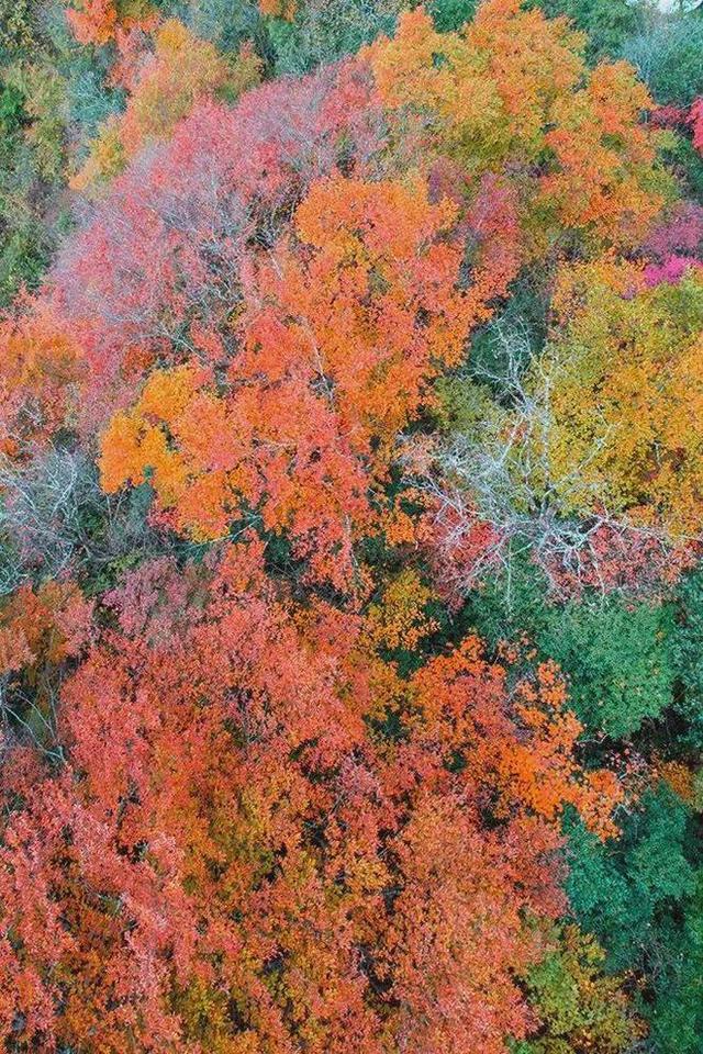 安康南宫山：五彩秋色惹人醉