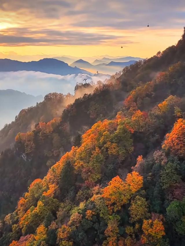 2025年的秦岭山麓依旧迷人