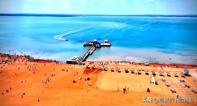 神木之旅：在沙漠中寻找生命的印记