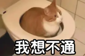 震惊到我了！家里有密码锁的注意了，这真不是 BUG，是 feature。图片