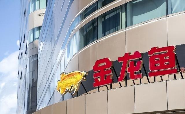 新加坡总理公开支持高市后	，被罚18亿账单的金龙鱼，凉得更快了