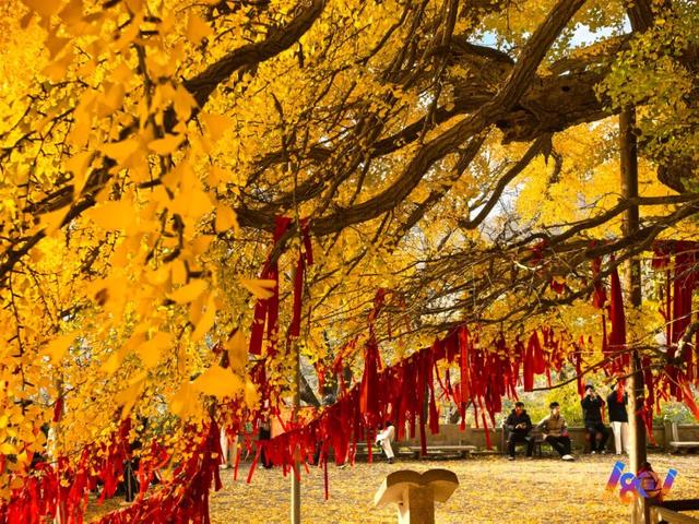 顶流“约会”，主角2500岁 ！潍坊安丘城顶山！