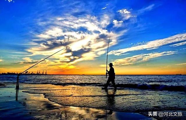 向海而歌,来秦皇岛凭依栈道、看海听涛,与海浪鸥鸟美好时光!